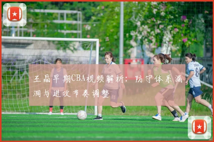 王晶早期CBA视频解析:防守体系漏洞与进攻节奏调整