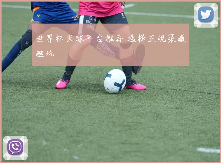 世界杯买球平台推荐 选择正规渠道避坑